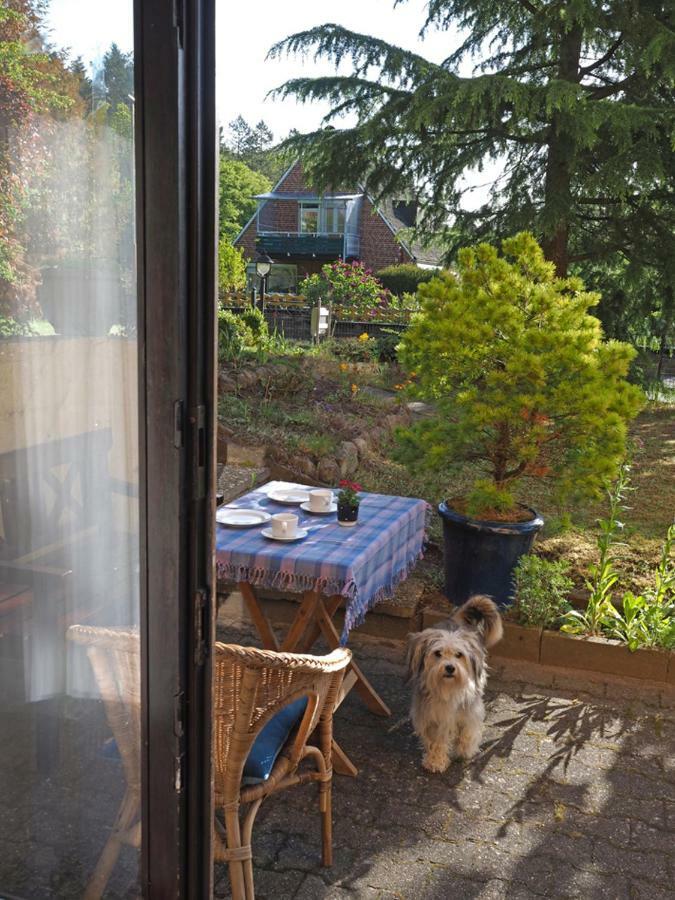 Am Waldrand, Appartement
